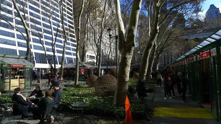 NYC_2017-11-27 12-18-18_P1140587
